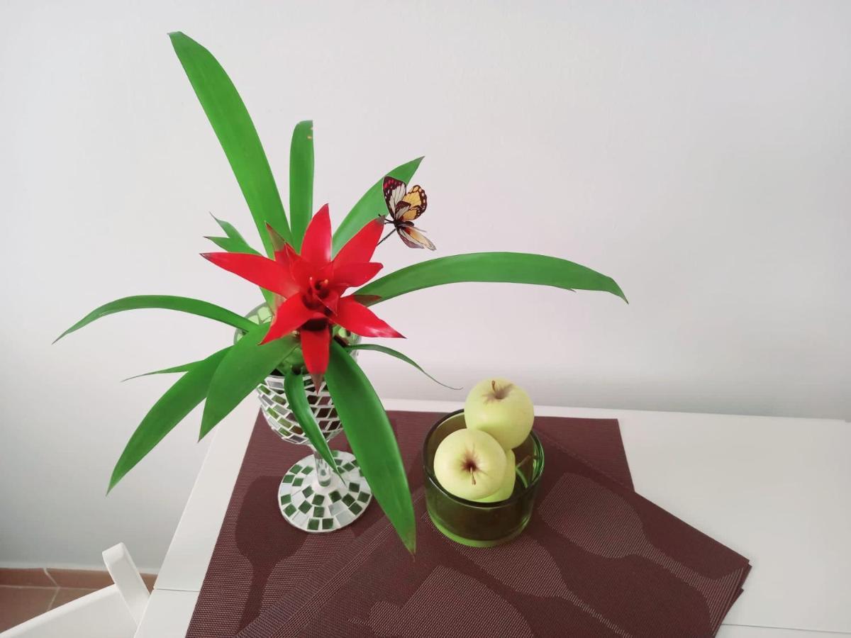 Casablanca Apartment Sardina Ngoại thất bức ảnh